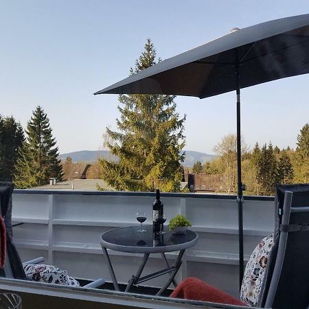 Weitblick Apartman Sankt Andreasberg Kültér fotó